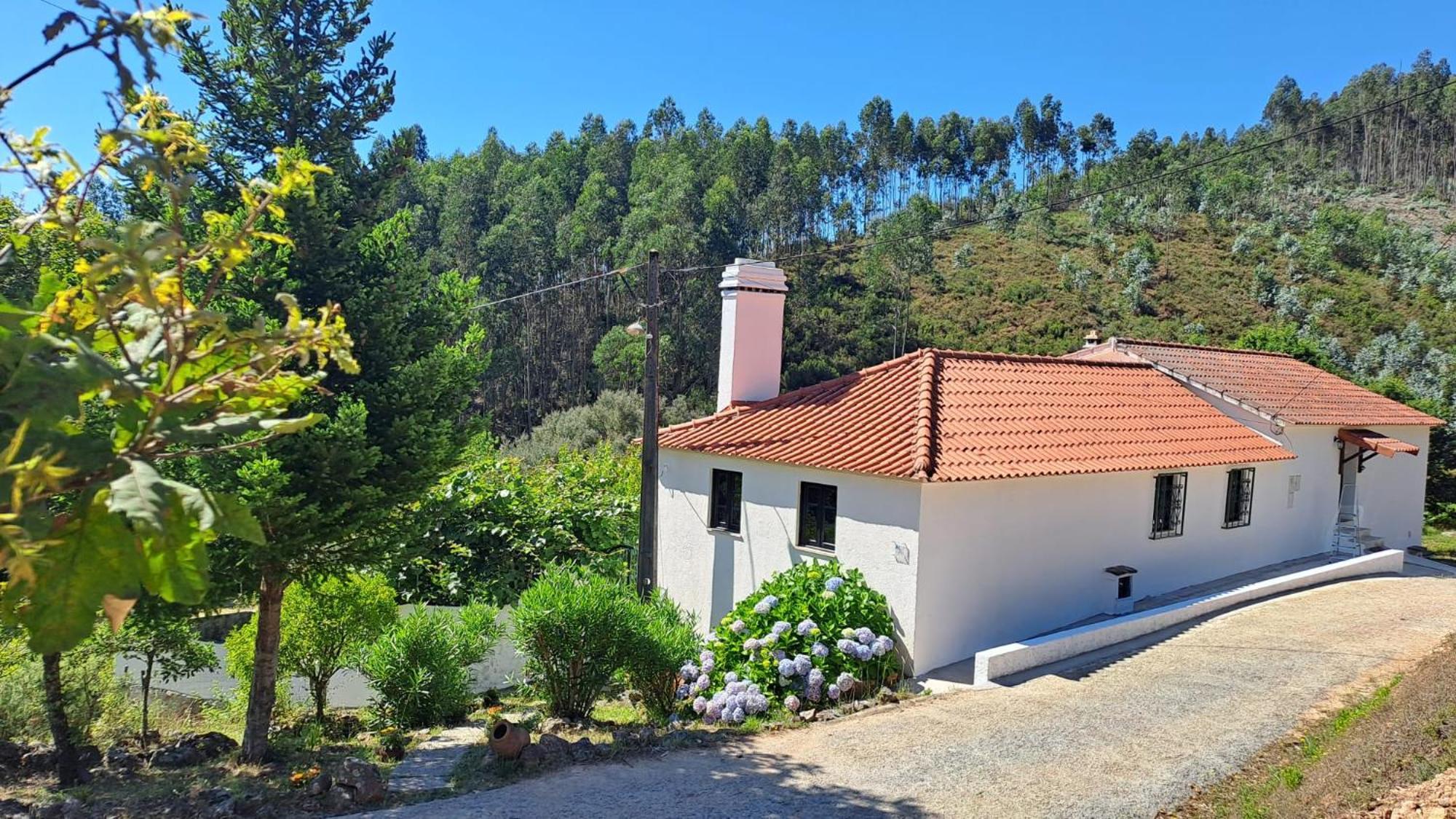 Casa Da Milharica Vila Figueiro Dos Vinhos Exterior foto
